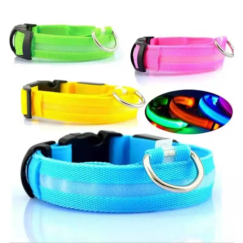 3 Modes Dog Luminous Charge Collar Led Usb Cat Dogs Collars Detachable Night Led Glow Dog Loss Prevention Collar Pet Accessories - Ammdog.com