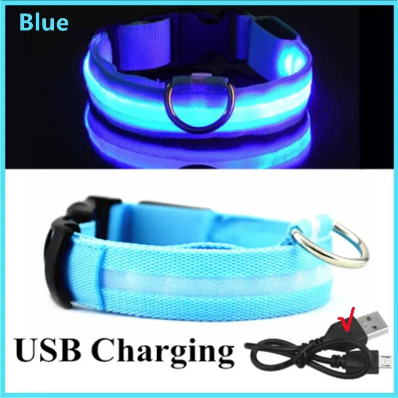 3 Modes Dog Luminous Charge Collar Led Usb Cat Dogs Collars Detachable Night Led Glow Dog Loss Prevention Collar Pet Accessories - Ammdog.com