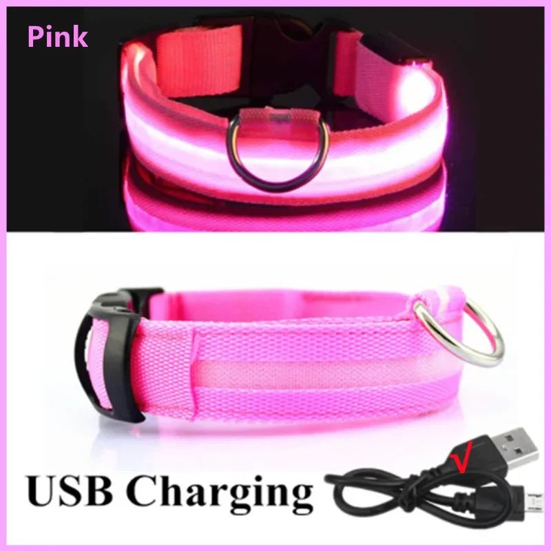 3 Modes Dog Luminous Charge Collar Led Usb Cat Dogs Collars Detachable Night Led Glow Dog Loss Prevention Collar Pet Accessories - Ammdog.com