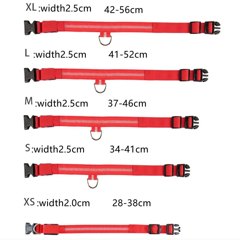 3 Modes Dog Luminous Charge Collar Led Usb Cat Dogs Collars Detachable Night Led Glow Dog Loss Prevention Collar Pet Accessories - Ammdog.com