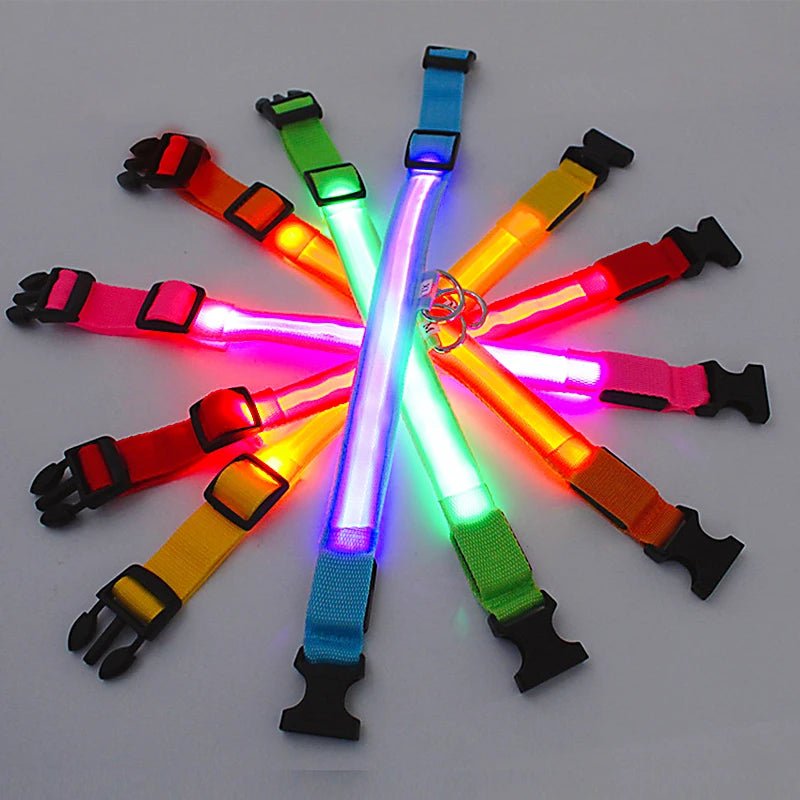 3 Modes Dog Luminous Charge Collar Led Usb Cat Dogs Collars Detachable Night Led Glow Dog Loss Prevention Collar Pet Accessories - Ammdog.com