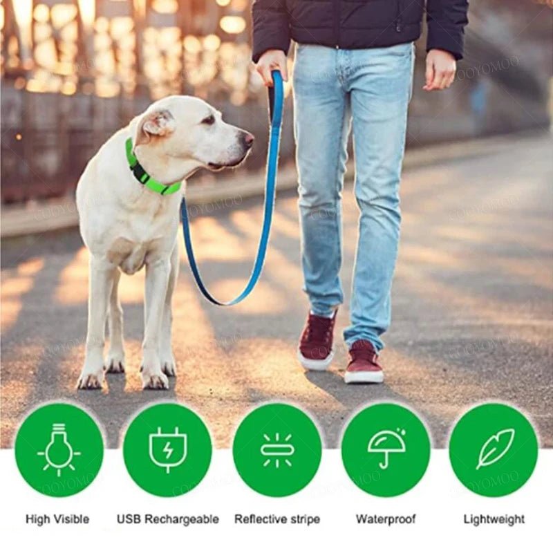 3 Modes Dog Luminous Charge Collar Led Usb Cat Dogs Collars Detachable Night Led Glow Dog Loss Prevention Collar Pet Accessories - Ammdog.com