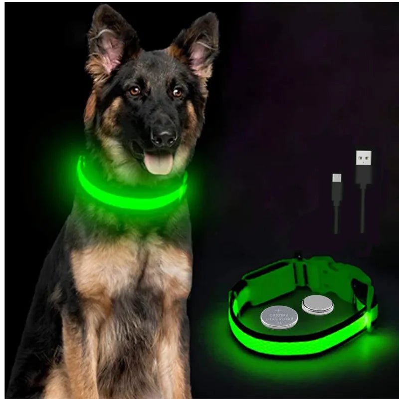 3 Modes Dog Luminous Charge Collar Led Usb Cat Dogs Collars Detachable Night Led Glow Dog Loss Prevention Collar Pet Accessories - Ammdog.com