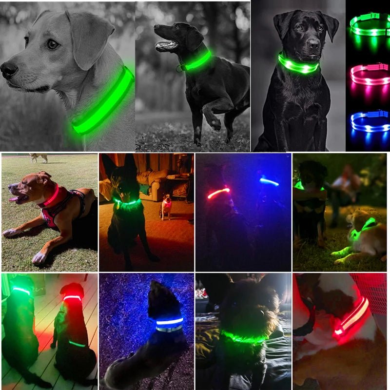 3 Modes Dog Luminous Charge Collar Led Usb Cat Dogs Collars Detachable Night Led Glow Dog Loss Prevention Collar Pet Accessories - Ammdog.com