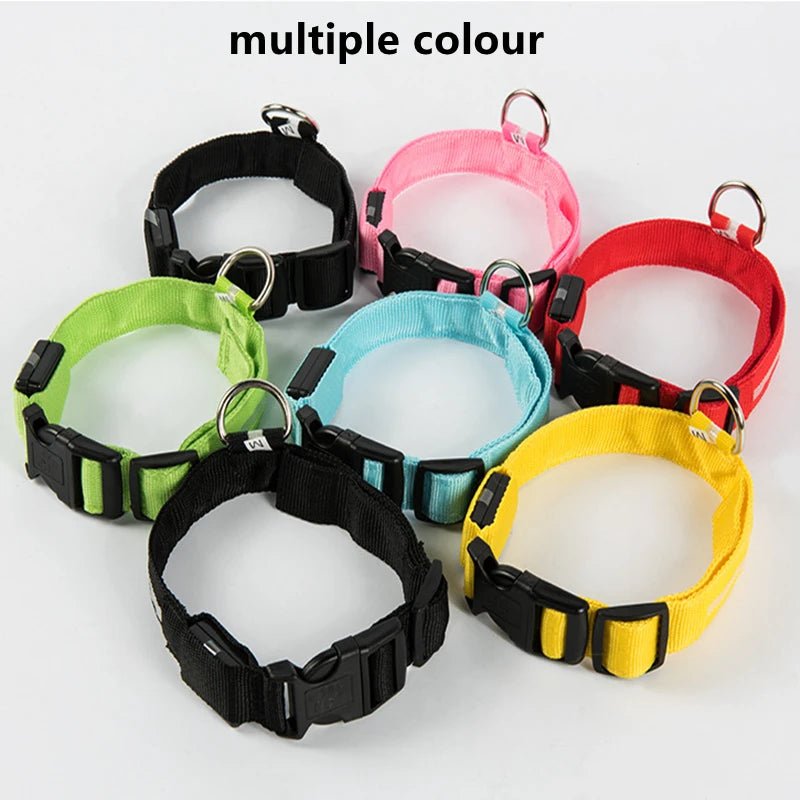 3 Modes Dog Luminous Charge Collar Led Usb Cat Dogs Collars Detachable Night Led Glow Dog Loss Prevention Collar Pet Accessories - Ammdog.com