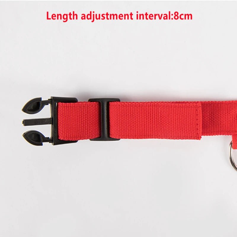 3 Modes Dog Luminous Charge Collar Led Usb Cat Dogs Collars Detachable Night Led Glow Dog Loss Prevention Collar Pet Accessories - Ammdog.com