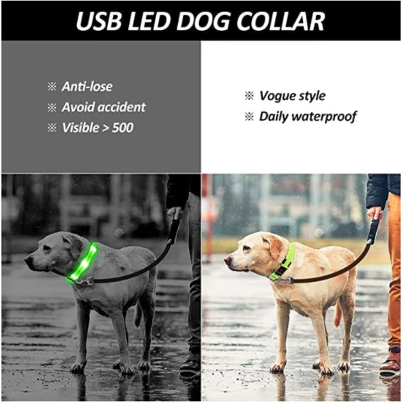 3 Modes Dog Luminous Charge Collar Led Usb Cat Dogs Collars Detachable Night Led Glow Dog Loss Prevention Collar Pet Accessories - Ammdog.com