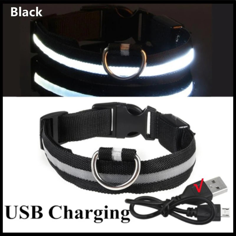 3 Modes Dog Luminous Charge Collar Led Usb Cat Dogs Collars Detachable Night Led Glow Dog Loss Prevention Collar Pet Accessories - Ammdog.com