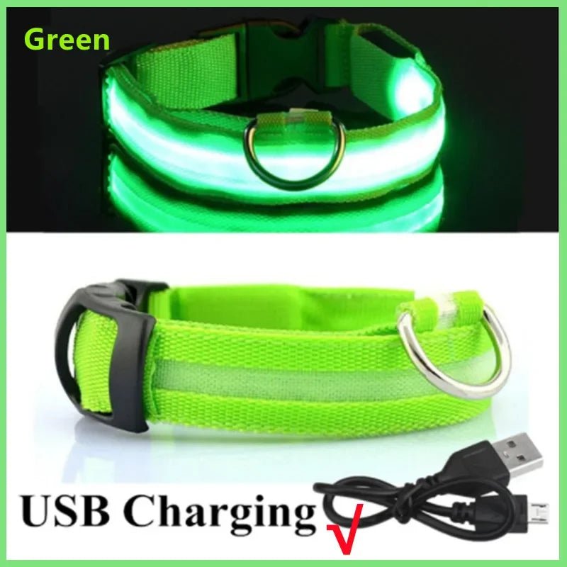 3 Modes Dog Luminous Charge Collar Led Usb Cat Dogs Collars Detachable Night Led Glow Dog Loss Prevention Collar Pet Accessories - Ammdog.com