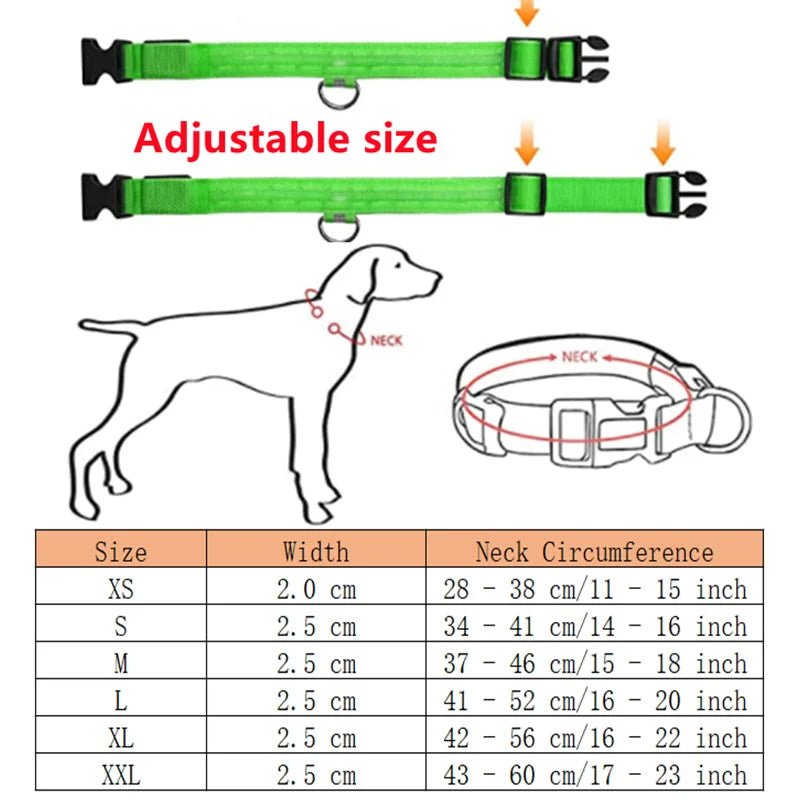 3 Modes Dog Luminous Charge Collar Led Usb Cat Dogs Collars Detachable Night Led Glow Dog Loss Prevention Collar Pet Accessories - Ammdog.com