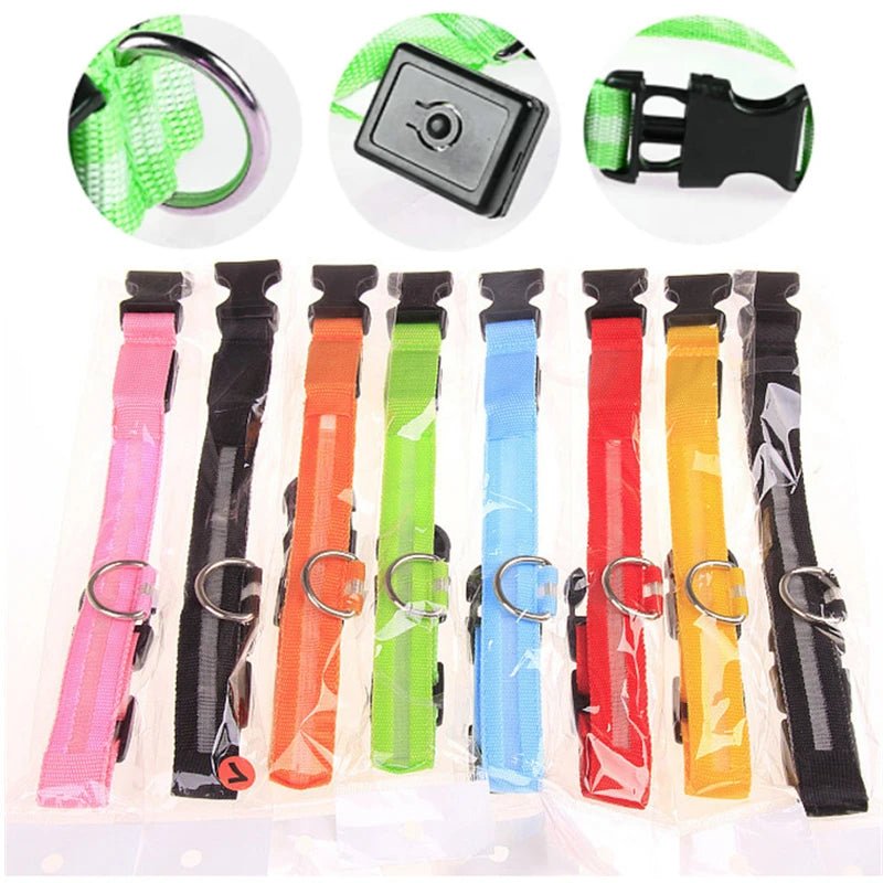 3 Modes Dog Luminous Charge Collar Led Usb Cat Dogs Collars Detachable Night Led Glow Dog Loss Prevention Collar Pet Accessories - Ammdog.com