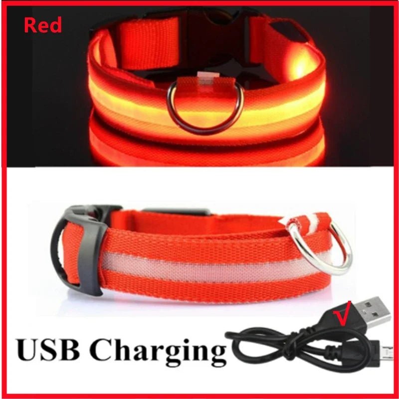 3 Modes Dog Luminous Charge Collar Led Usb Cat Dogs Collars Detachable Night Led Glow Dog Loss Prevention Collar Pet Accessories - Ammdog.com