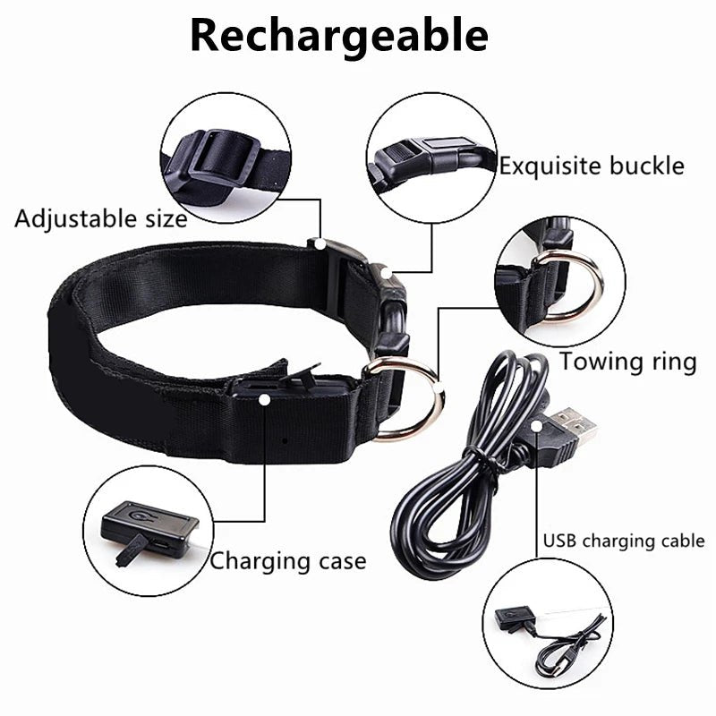 3 Modes Dog Luminous Charge Collar Led Usb Cat Dogs Collars Detachable Night Led Glow Dog Loss Prevention Collar Pet Accessories - Ammdog.com