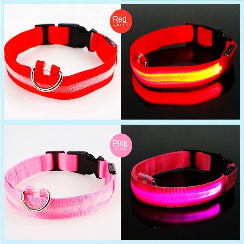 3 Modes Dog Luminous Charge Collar Led Usb Cat Dogs Collars Detachable Night Led Glow Dog Loss Prevention Collar Pet Accessories - Ammdog.com