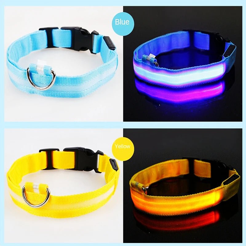 3 Modes Dog Luminous Charge Collar Led Usb Cat Dogs Collars Detachable Night Led Glow Dog Loss Prevention Collar Pet Accessories - Ammdog.com