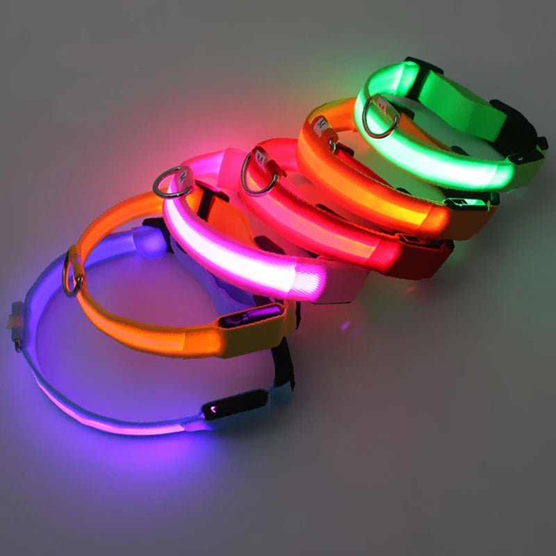 3 Modes Dog Luminous Charge Collar Led Usb Cat Dogs Collars Detachable Night Led Glow Dog Loss Prevention Collar Pet Accessories - Ammdog.com