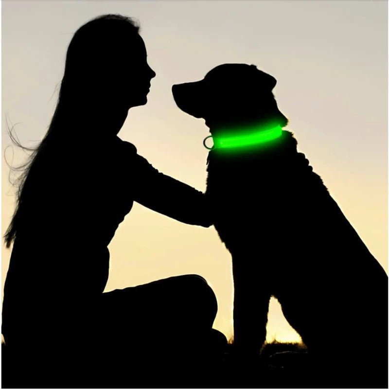 3 Modes Dog Luminous Charge Collar Led Usb Cat Dogs Collars Detachable Night Led Glow Dog Loss Prevention Collar Pet Accessories - Ammdog.com