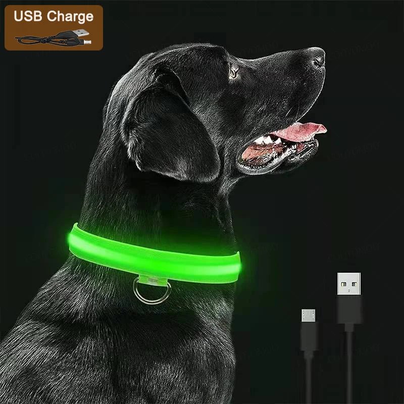 3 Modes Dog Luminous Charge Collar Led Usb Cat Dogs Collars Detachable Night Led Glow Dog Loss Prevention Collar Pet Accessories - Ammdog.com