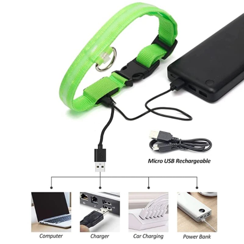 3 Modes Dog Luminous Charge Collar Led Usb Cat Dogs Collars Detachable Night Led Glow Dog Loss Prevention Collar Pet Accessories - Ammdog.com