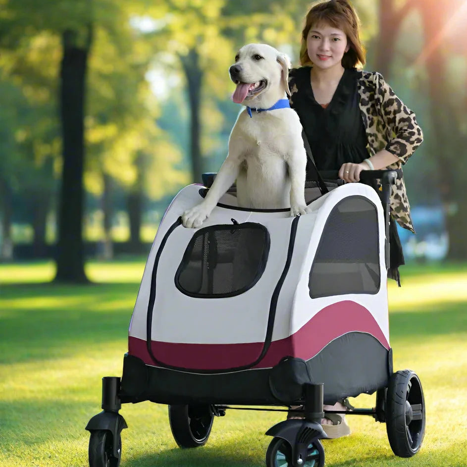 Quelle Poussette Pour Chien Choisir