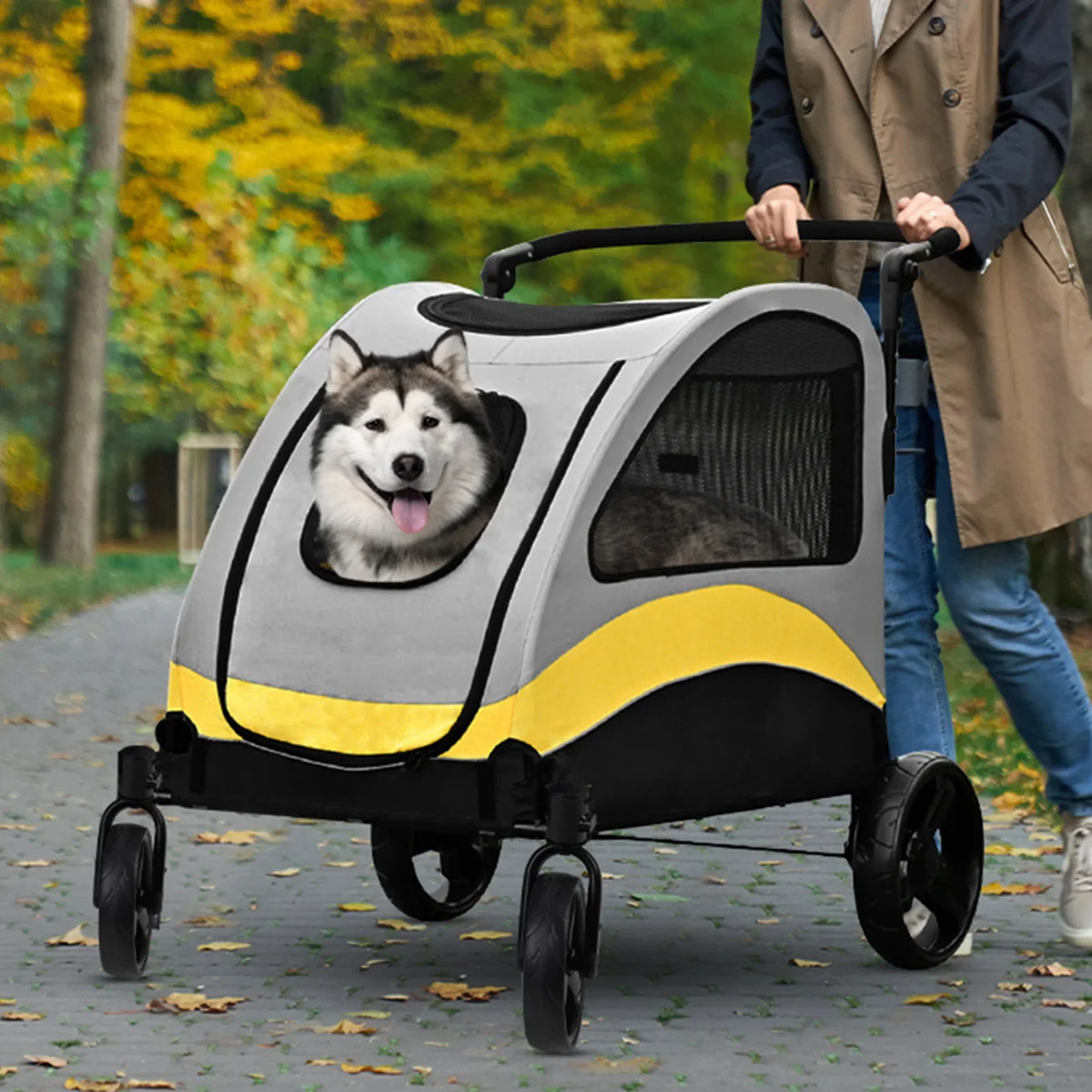 Quelle Poussette Pour Chien Choisir