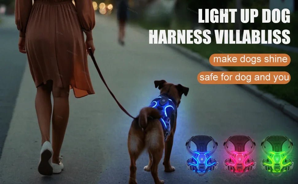 Led luminous Dog Harness No Pull Adjustable Rechargeable Pet Vest Harness Small Medium Large Dogs Outdoor Walking Pet Supplies - Ammdog.com