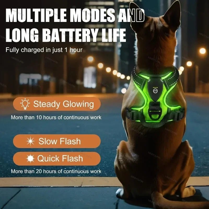 Led luminous Dog Harness No Pull Adjustable Rechargeable Pet Vest Harness Small Medium Large Dogs Outdoor Walking Pet Supplies - Ammdog.com