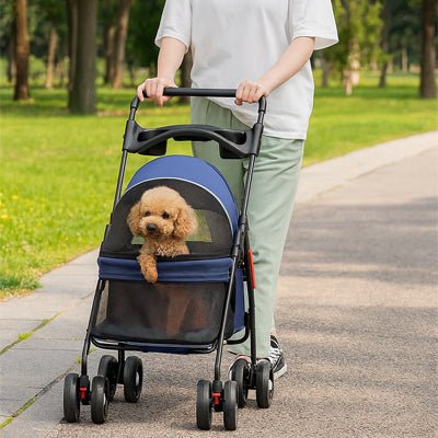 M - Ammdog.com