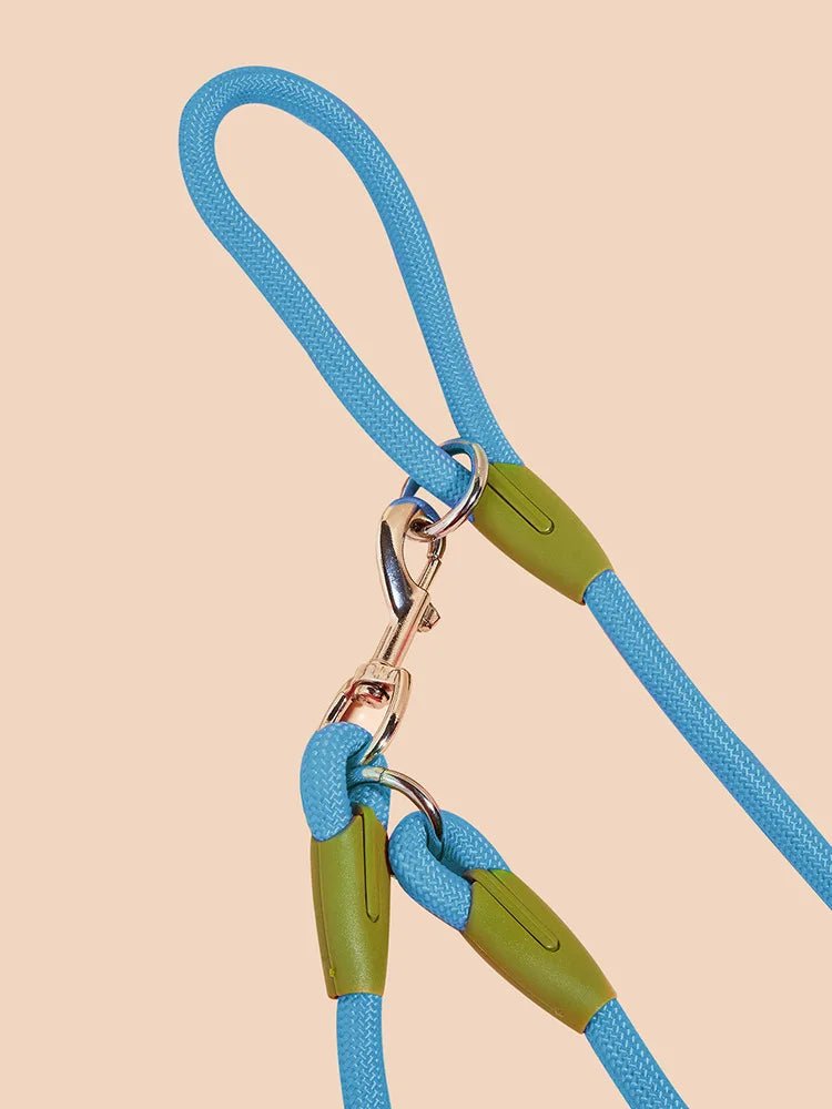Reflective Nylon Leashes Pet Dogs Chain Traction Rope Leads for Running Dog Walking Free Hands Rope Chain for Small Large Dogs - Ammdog.com