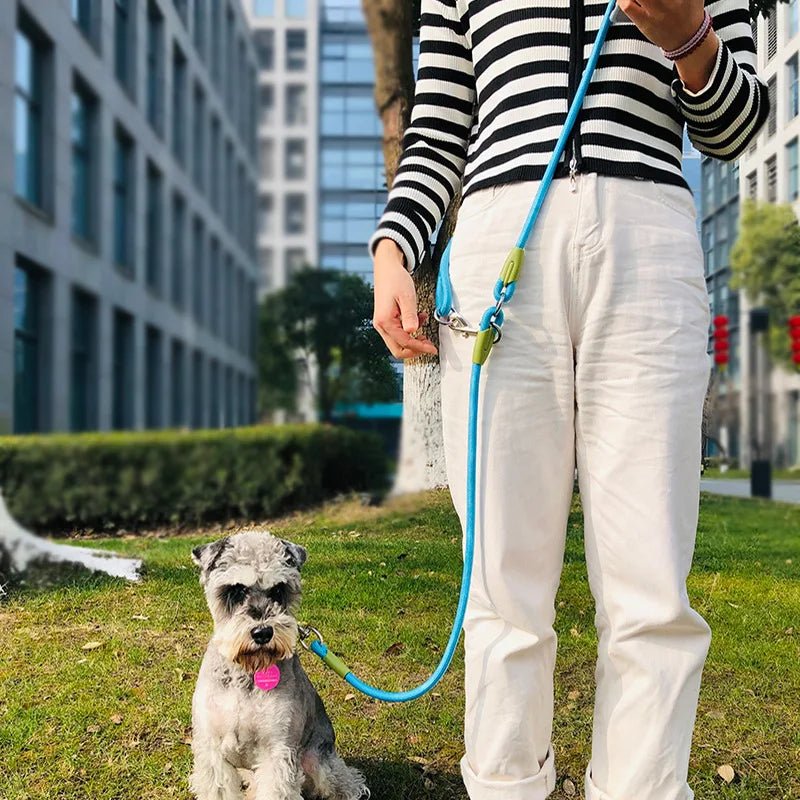 Reflective Nylon Leashes Pet Dogs Chain Traction Rope Leads for Running Dog Walking Free Hands Rope Chain for Small Large Dogs - Ammdog.com