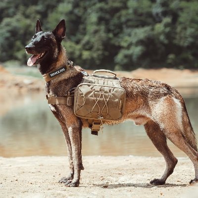 Sac à dos pour chien - BackpackDogHarness™ - Marron - Ammdog.com