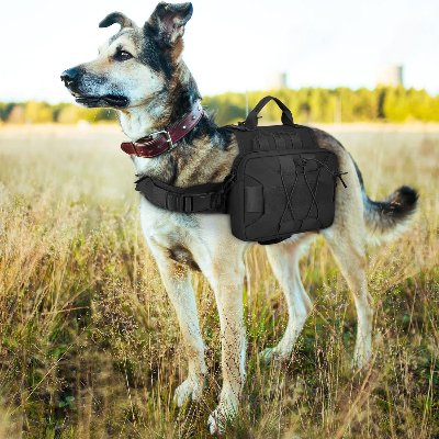 Sac à dos pour chien - BackpackDogHarness™ - Noir - Ammdog.com