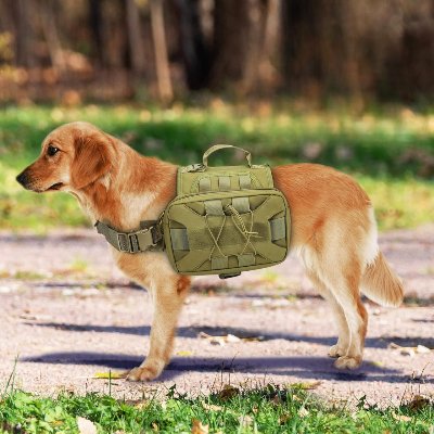 Sac à dos pour chien - BackpackDogHarness™ - Vert - Ammdog.com