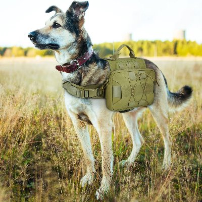Sac à dos pour chien - BackpackDogHarness™ - Vert - Ammdog.com