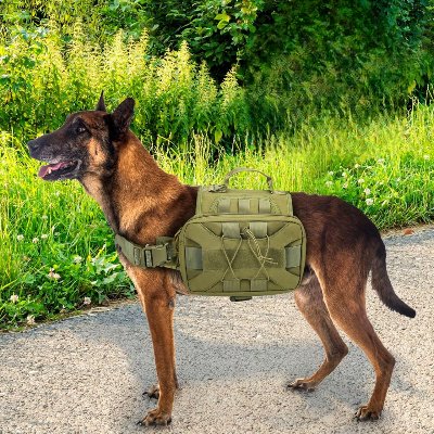 Sac à dos pour chien - BackpackDogHarness™ - Vert - Ammdog.com