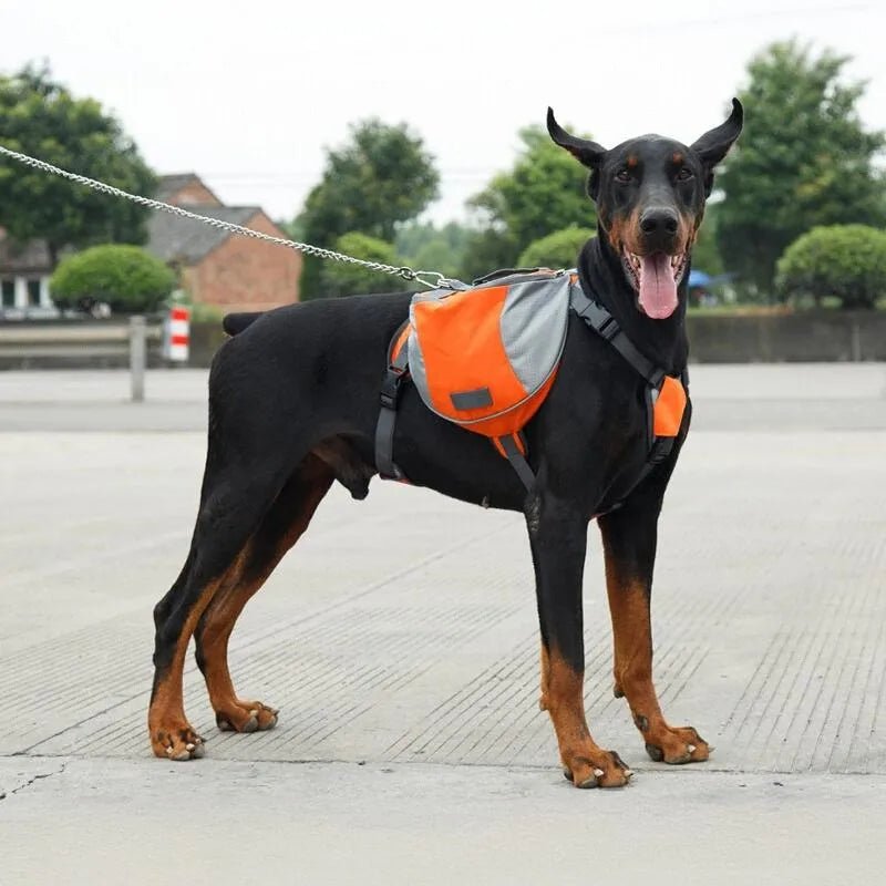 Sac de Voyage Chien - DogBackpack™ - Orange - Ammdog.com