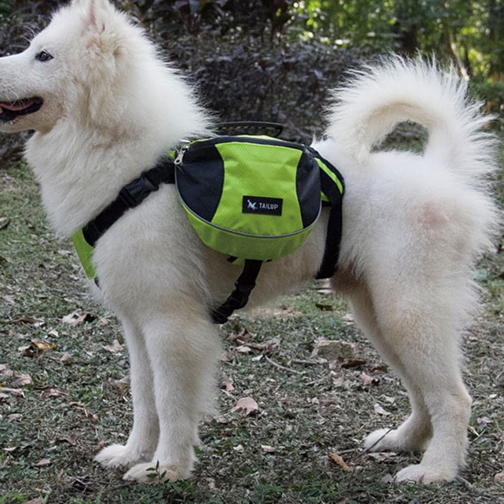 Sac de Voyage Chien - DogBackpack™ - Vert - Ammdog.com