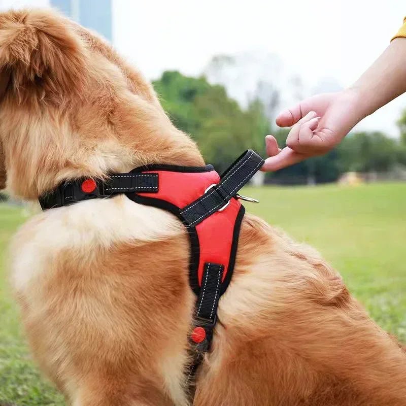 Saddle Dog Harness Reflective Adjustable Pet Harness No Pull Walking Training Small Medium Large Big Dogs Chest Strap Product - Ammdog.com