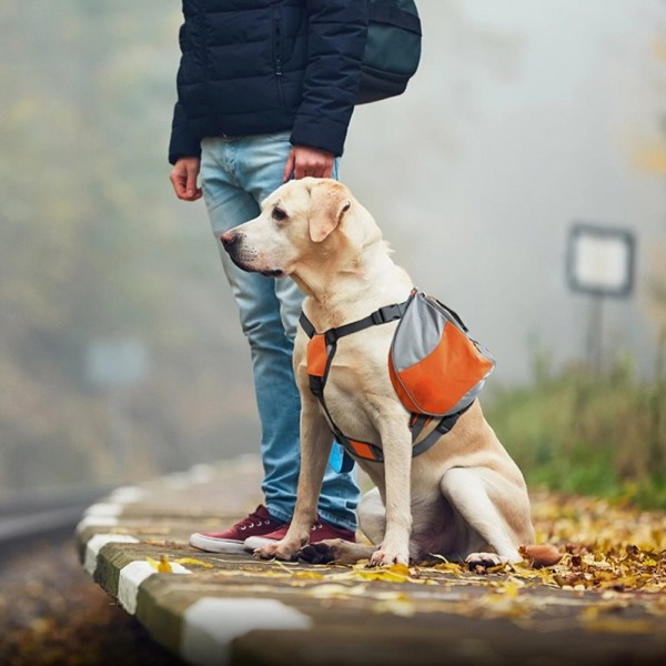 Sac de Voyage Chien - DogBackpack™ - Orange